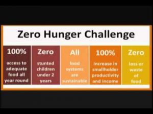 Graphic displaying the Zero Hunger Challenge spectrum of milestones