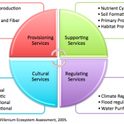 The four categories of ecosystem services, as defined by the Millennium Ecosystem Assessment, 2005.