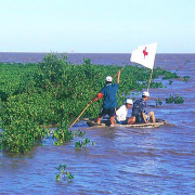 Red Cross volunteers monitor the growth of mangroves in Vietnam to reduce the effects of typhoons and large waves