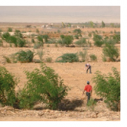 Jordan Vallet Permaculture Project