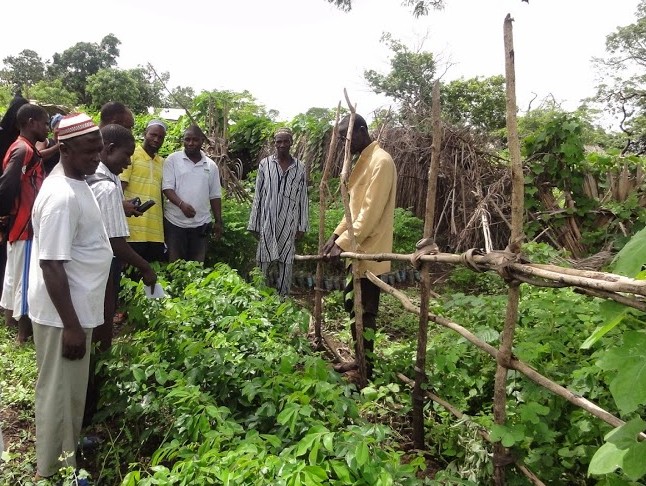 Community members in garden plot, established through agricultural intensification activities of STEWARD.